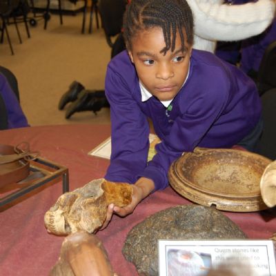 Verulamium Museum (17)